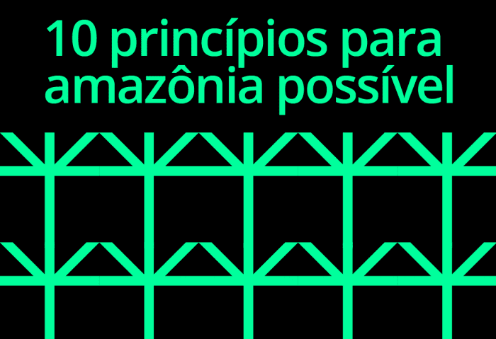 10 princípios para amazônia possível