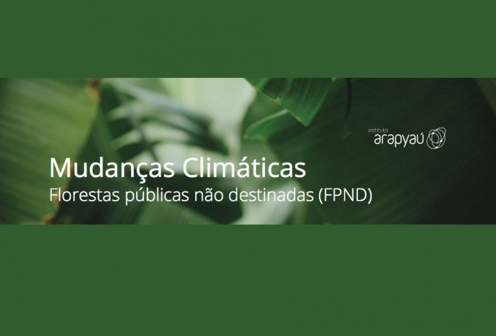 Capa Mudanças climáticas: florestas públicas não destinadas (FPND)