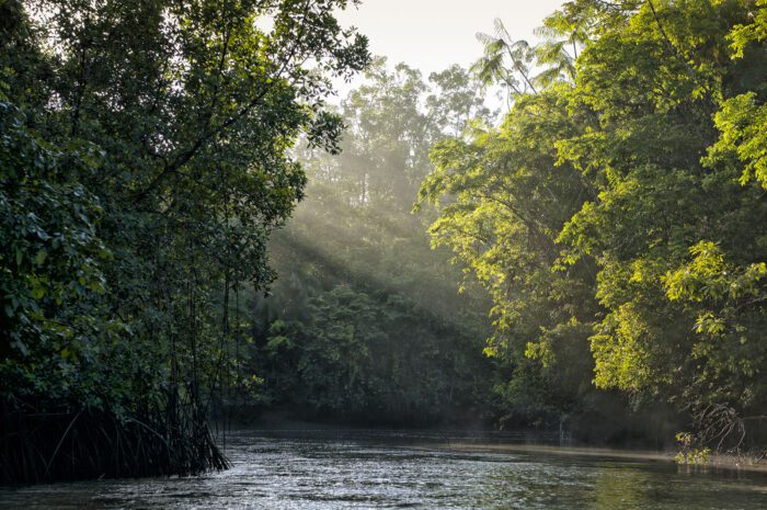 Fórum Amazônia Sustentável retoma as atividades