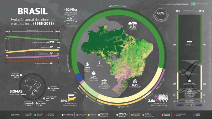 MapBiomas lança a Coleção 4.1