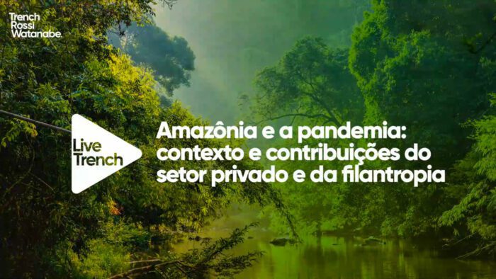 Amazônia e a pandemia: contexto e contribuições do setor privado e da filantropia