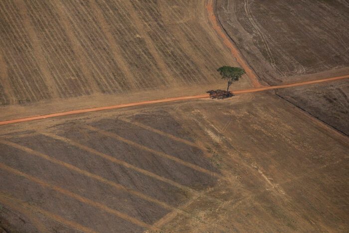 Coalizão Brasil envia ao governo propostas para conter desmatamento na Amazônia