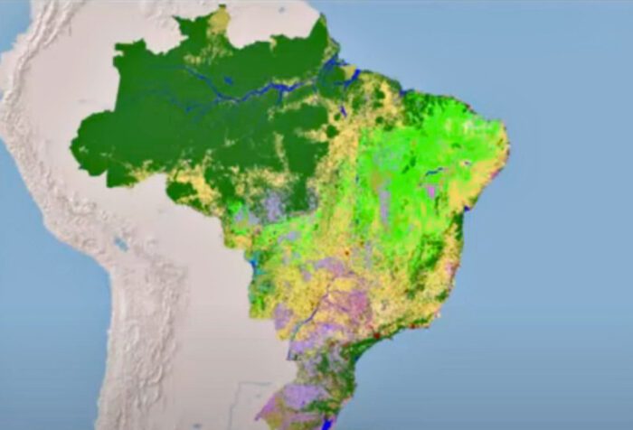 MapBiomas lança coleção de mapas da Mata Atlântica incluindo Brasil, Argentina e Paraguai