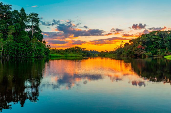 Arapyaú publica Relatório de Atividades de 2020: olhar para a Amazônia é destaque do ano