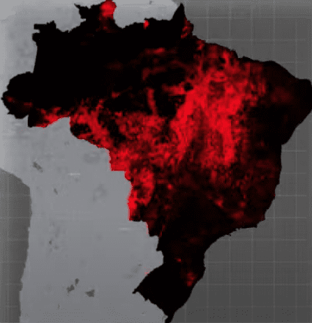 MapBiomas lança série inédita de dados sobre o impacto do fogo nos biomas brasileiros