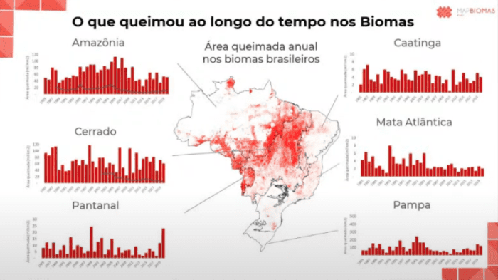 MapBiomas lança série inédita de dados sobre o impacto do fogo nos biomas brasileiros