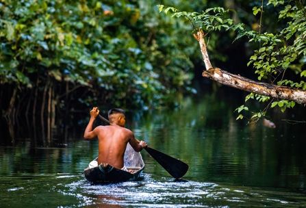 Acordo da COP 15 norteará ações pela natureza e oportunidades em bioeconomia